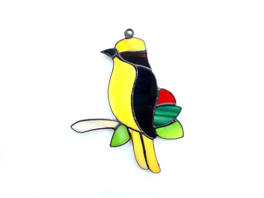 Pájaro Pechiamarillo